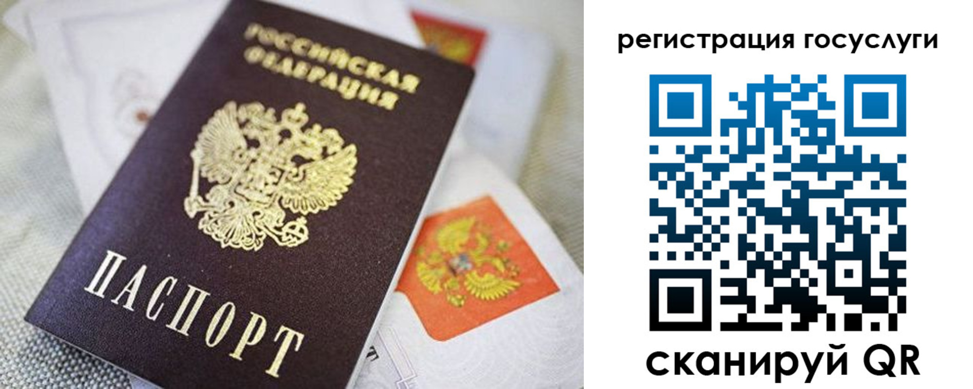 прописка паспорт в Кировске